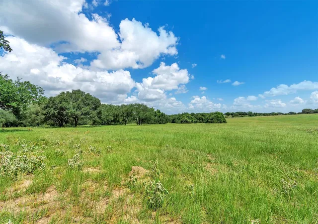 Photo 4 of House for sale at 000 Old Cuero Rd, Yoakum, TX 77995 | MLS# 2581557 | Listing updated on 2026-10-13