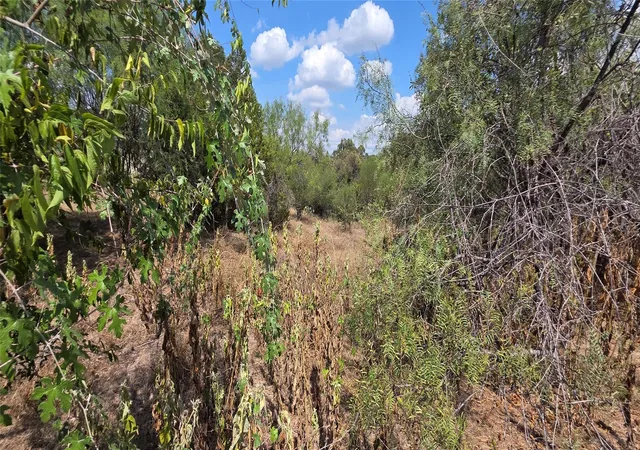 Photo 3 of Land for sale at Lot #64 Wesley Ridge Dr, Spicewood, TX 78669 | MLS# 1911048 | Listing updated on 2026-10-08