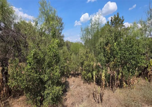 Photo 4 of Land for sale at Lot #64 Wesley Ridge Dr, Spicewood, TX 78669 | MLS# 1911048 | Listing updated on 2026-10-08
