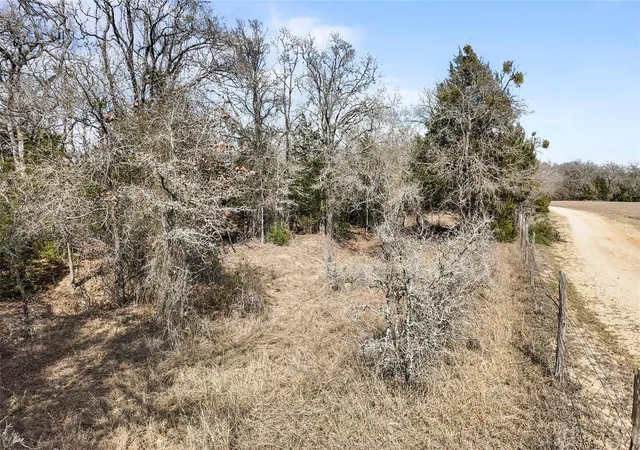Photo 9 of Land for sale at County Rd 481, Thrall, TX 76578 | MLS# 5570123 | Listing updated on 2026-10-08