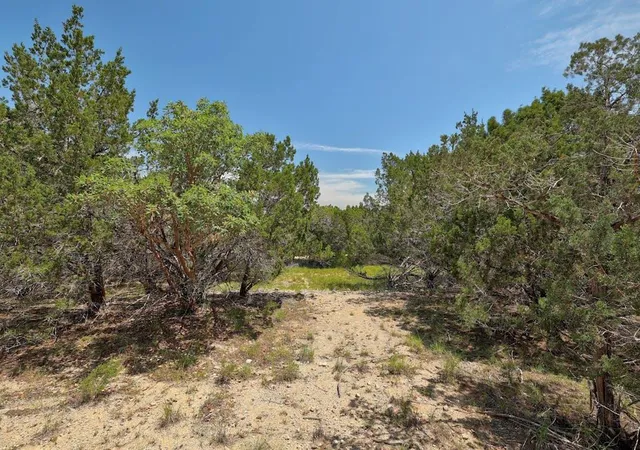 Photo 3 of Land for sale at Tbd Windy Hills Rd, Dripping Springs, TX 78620 | MLS# 4617484 | Listing updated on 2026-10-08