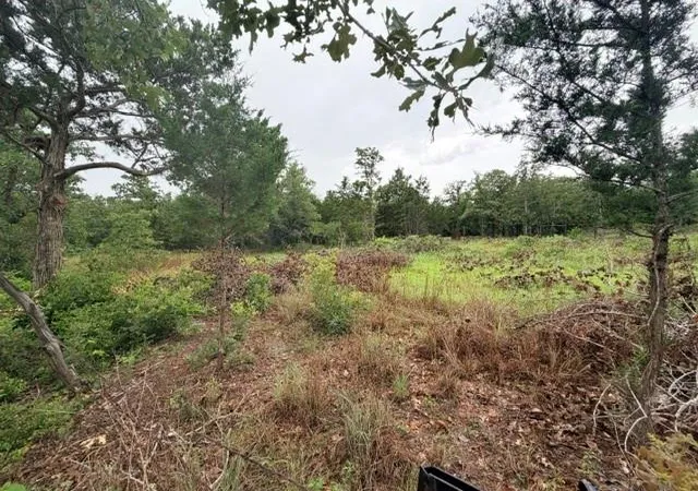 Photo 3 of Land for sale at 000 Mcdonald Ln W, Cedar Creek, TX 78612 | MLS# 9570845 | Listing updated on 2026-10-08