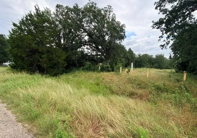Photo 3 of Land for sale at 000 Cool Water Dr, Bastrop, TX 78602 | MLS# 5003269 | Listing updated on 2026-10-08