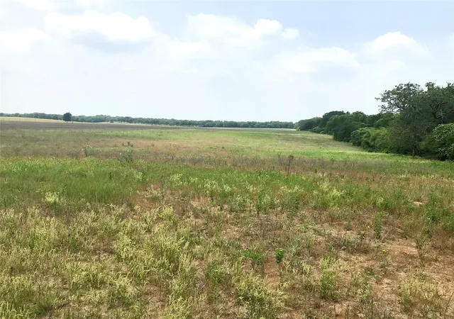 Photo 3 of Land for sale at 1672 Sayers Rd, Bastrop, TX 78602 | MLS# 1331424 | Listing updated on 2026-10-11