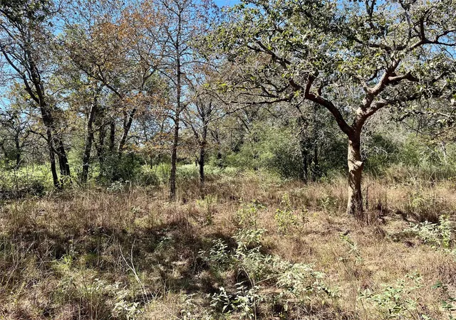 Land for sale at Tbd Flash Cir, Luling, TX 78648 | MLS# 3040140