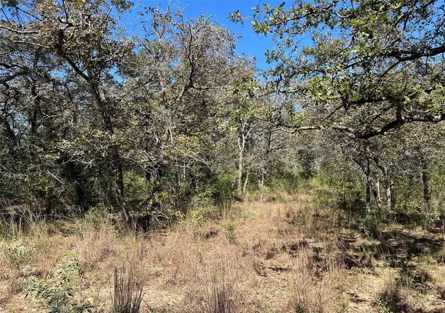 Photo 3 of Land for sale at Tbd Flash Cir, Luling, TX 78648 | MLS# 3040140 | Listing updated on 2026-10-09
