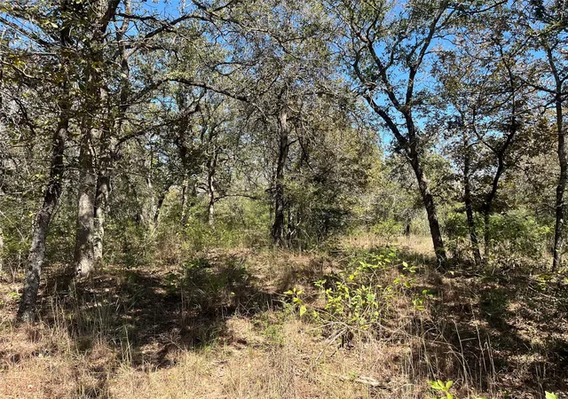 Photo 3 of Land for sale at Tbd Flash Cir, Luling, TX 78648 | MLS# 3040140 | Listing updated on 2026-10-09