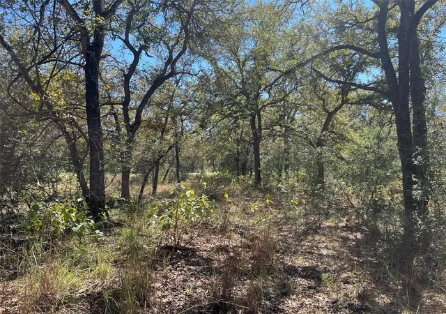 Photo 4 of Land for sale at Tbd Flash Cir, Luling, TX 78648 | MLS# 3040140 | Listing updated on 2026-10-09