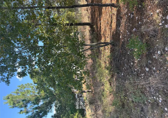 Land for sale at Lot 702 Oahu Ct, Bastrop, TX 78602 | MLS# 5755151