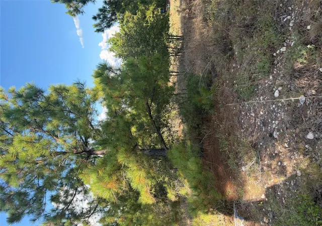 Photo 1 of Land for sale at Lot 702 Oahu Ct, Bastrop, TX 78602 | MLS# 5755151 | Listing updated on 2026-10-10