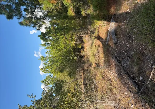 Photo 2 of Land for sale at Lot 702 Oahu Ct, Bastrop, TX 78602 | MLS# 5755151 | Listing updated on 2026-10-10