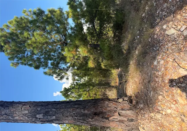 Photo 4 of Land for sale at Lot 702 Oahu Ct, Bastrop, TX 78602 | MLS# 5755151 | Listing updated on 2026-10-10