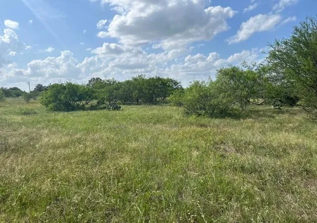 Photo 3 of Land for sale at Tbd Fm 2814, Waelder, TX 78959 | MLS# 6322072 | Listing updated on 2026-10-12