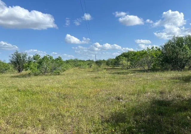 Photo 4 of Land for sale at Tbd Fm 2814, Waelder, TX 78959 | MLS# 6322072 | Listing updated on 2026-10-12