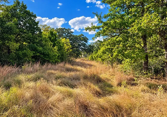 Photo 1 of Land for sale at 0000 Green Oaks Dr, Bastrop, TX 78602 | MLS# 7542875 | Listing updated on 2026-10-27