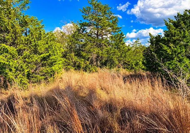 Photo 3 of Land for sale at 0000 Green Oaks Dr, Bastrop, TX 78602 | MLS# 7542875 | Listing updated on 2026-10-27