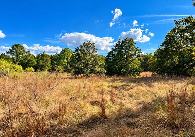 Photo 4 of Land for sale at 0000 Green Oaks Dr, Bastrop, TX 78602 | MLS# 7542875 | Listing updated on 2026-10-27