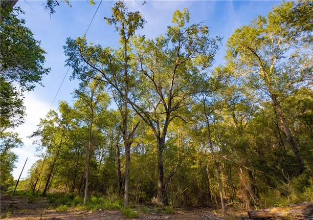 Photo 2 of Land for sale at 12416 Red Hl Rd, Hearne, TX 77859 | MLS# 8870583 | Listing updated on 2026-10-14