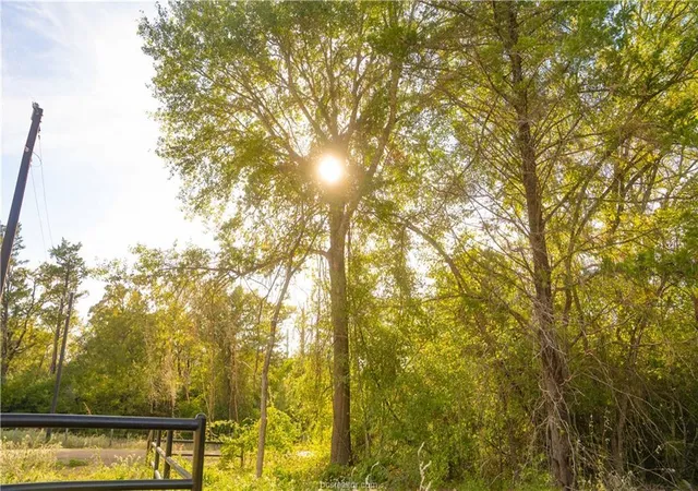 Photo 3 of Land for sale at 12416 Red Hl Rd, Hearne, TX 77859 | MLS# 8870583 | Listing updated on 2026-10-14