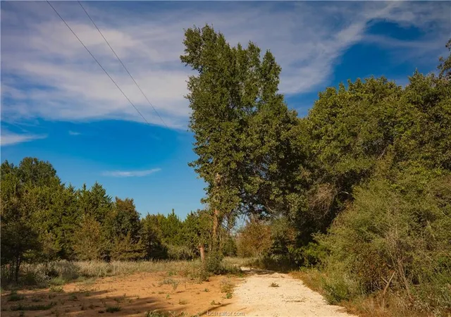 Photo 4 of Land for sale at 12416 Red Hl Rd, Hearne, TX 77859 | MLS# 8870583 | Listing updated on 2026-10-14