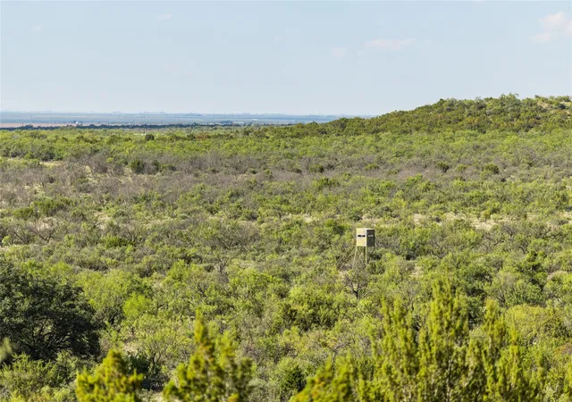 Photo 4 of House for sale at 000 Private Rd 1134, Eden, TX 76837 | MLS# 5789860 | Listing updated on 2026-10-19