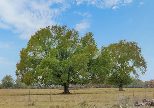 Photo 2 of House for sale at 2150 County Rd 412, Lexington, TX 78947 | MLS# 8376623 | Listing updated on 2026-10-22