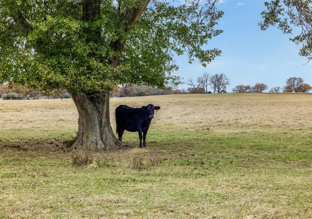 Photo 3 of House for sale at 2150 County Rd 412, Lexington, TX 78947 | MLS# 8376623 | Listing updated on 2026-10-22