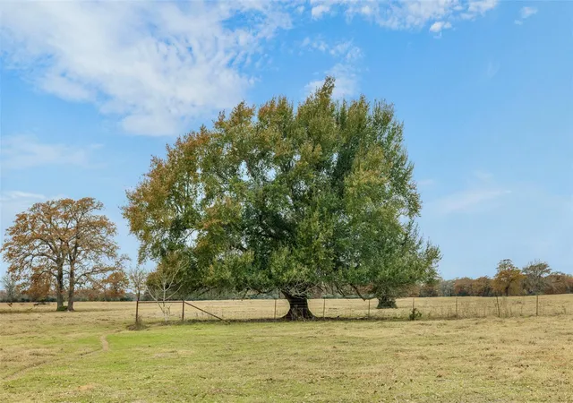 Photo 4 of House for sale at 2150 County Rd 412, Lexington, TX 78947 | MLS# 8376623 | Listing updated on 2026-10-22