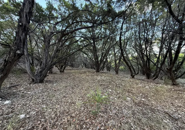 Photo 4 of Single family home for sale at 20900 Little Ln, Lago Vista, TX 78645 | MLS# 9012712 | Listing updated on 2026-10-30