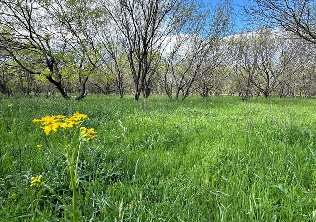 Photo 2 of Land for sale at 188 Prairie 1789, Bend, TX 76824 | MLS# 1000683 | Listing updated on 2026-10-20