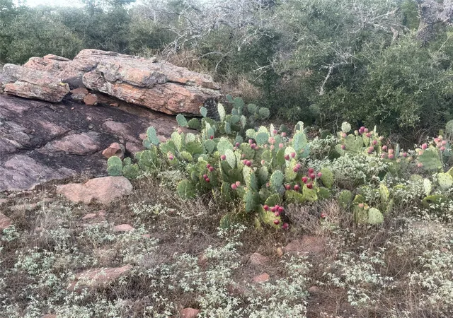 Land for sale at Tbd Rocky Holw Dr, Burnet, TX 78611 | MLS# 5097390
