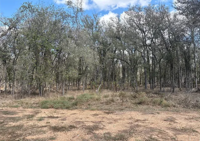 Land for sale at 116 E Ahupu Ln, Bastrop, TX 78602 | MLS# 7397845