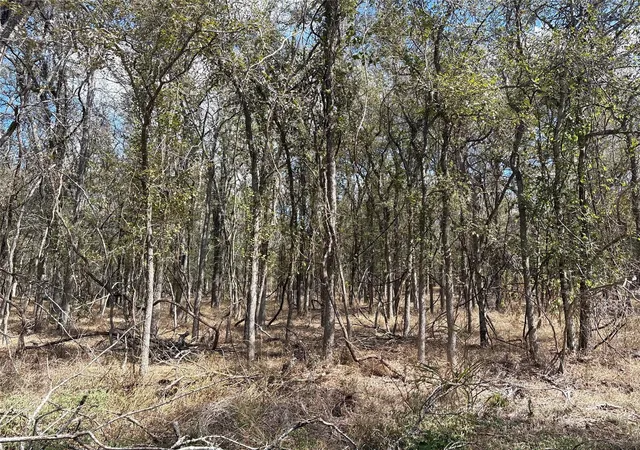 Photo 2 of Land for sale at 116 E Ahupu Ln, Bastrop, TX 78602 | MLS# 7397845 | Listing updated on 2026-10-29