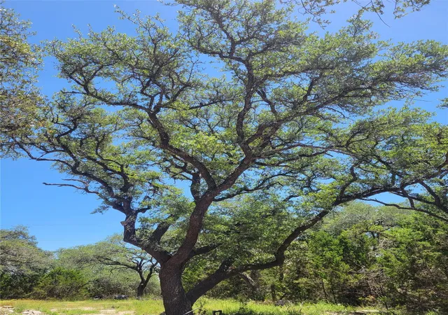 Photo 1 of Land for sale at 640 Bonita Dr, Blanco, TX 78606 | MLS# 9179938 | Listing updated on 2026-10-30