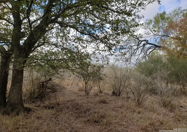 1st image of Lot 15 County Road 763, Devine, TX 78016 | MLS# 1340402