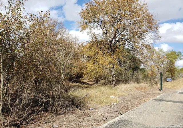 2nd image of Lot 15 County Road 763, Devine, TX 78016 | MLS# 1340402