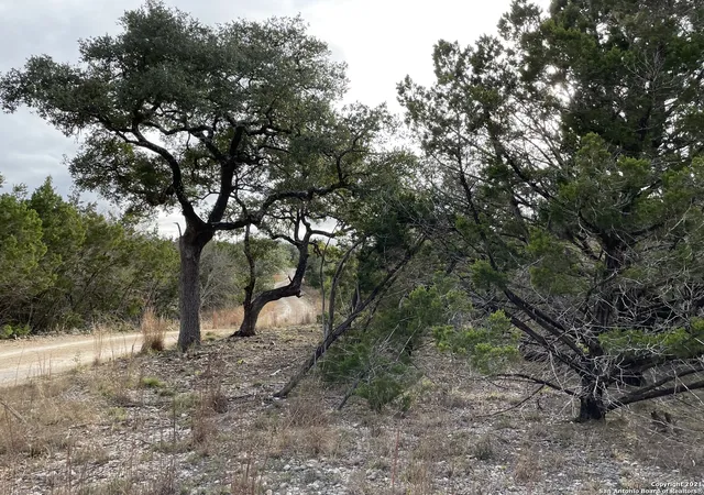 1st image of 1490 Red Rock Rd, Blanco, TX 78606 | MLS# 1577048