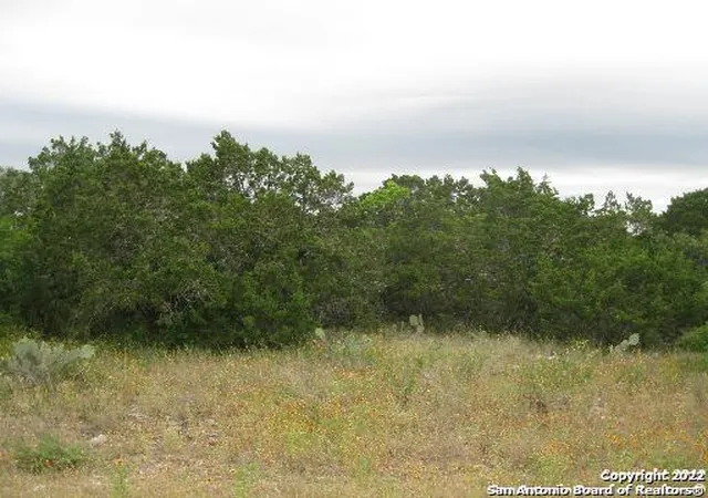 5th image of 35 Cr 2731, Mico, TX 78056 | MLS# 1605851