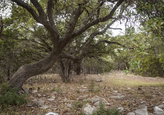 Photo 2 of Land for sale at 288 Kellog, Fischer, TX 78623 | MLS# 1635892 | Listing updated on 2025-09-19