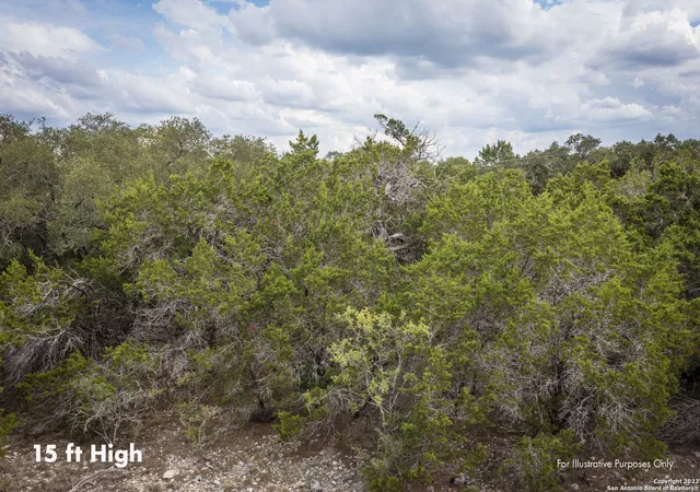 Photo 4 of Land for sale at 288 Kellog, Fischer, TX 78623 | MLS# 1635892 | Listing updated on 2025-09-19
