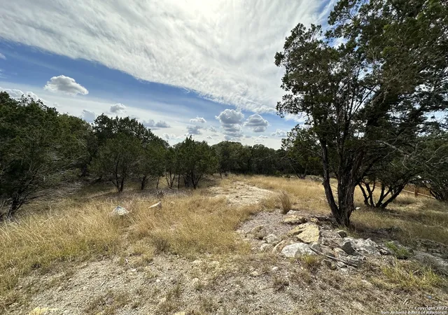 Photo 3 of Sale Pending at 131 Palm, Spring Branch, TX 78070 | MLS# 1648583 | Listing updated on 2026-08-13