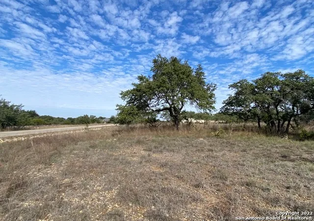 11th image of 0 John Price, Blanco, TX 78133 | MLS# 1651950