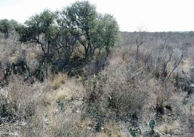 5th image of 60 Friendship Hls, Uvalde, TX 78801 | MLS# 1660317