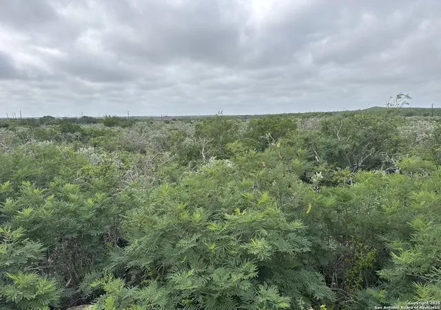 2nd image of 87 Palomino Hls, Uvalde, TX 78801 | MLS# 1661709