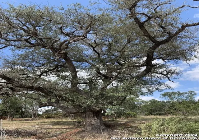 Photo 3 of Land for sale at 1916 Split Mtn, Canyon Lake, TX 78133 | MLS# 1663150 | Listing updated on 2026-07-30