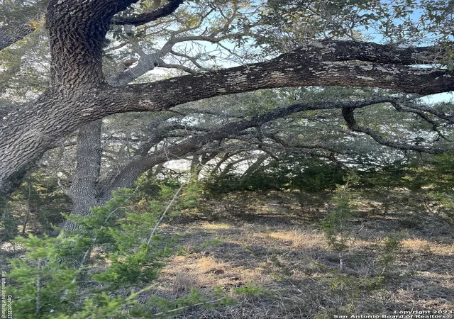 Photo 2 of Land for sale at 219 Highgate Dr, Bandera, TX 78003 | MLS# 1666959 | Listing updated on 2026-02-09