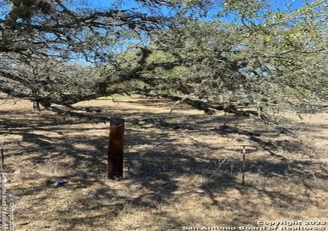 Photo 1 of Land for sale at 23311 Trumbo Rd, San Antonio, TX 78264 | MLS# 1674671 | Listing updated on 2025-06-26