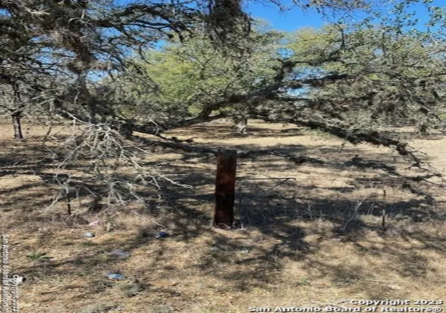 Photo 4 of Land for sale at 23311 Trumbo Rd, San Antonio, TX 78264 | MLS# 1674671 | Listing updated on 2025-06-26