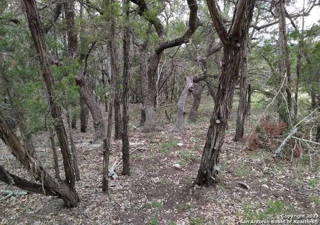 Photo 1 of Sale Pending at 0 Marlys Avenue, Canyon Lake, TX 78133 | MLS# 1690085 | Listing updated on 2025-09-16