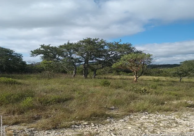 12th image of 761 W Bear Springs Rd, Pipe Creek, TX 78063 | MLS# 1699944